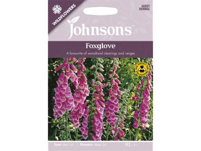 Fox Glove Wildflower Seeds