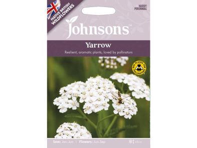 Yarrow Wildflower Seeds