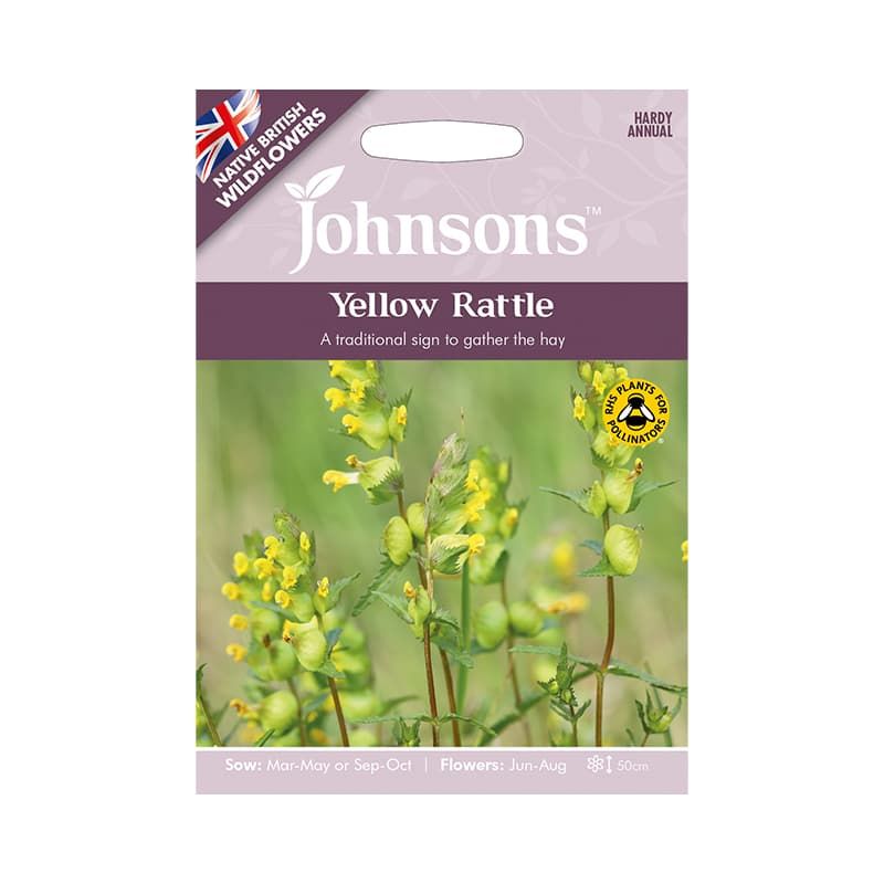 Yellow Rattle Wildflower Seeds