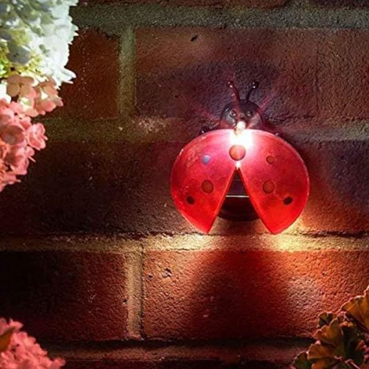 Ladybird Solar Light