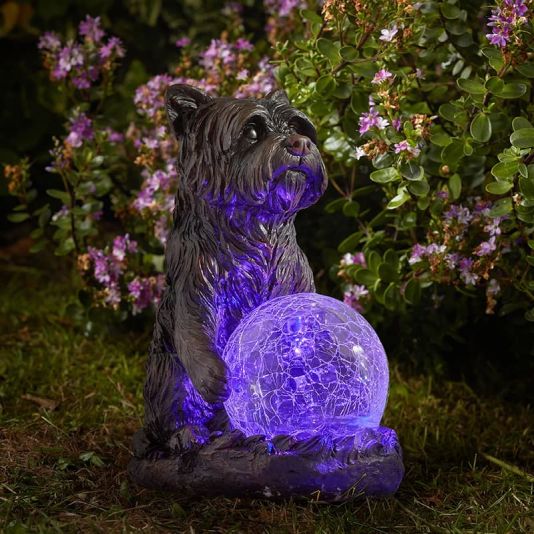 Mystic Dog