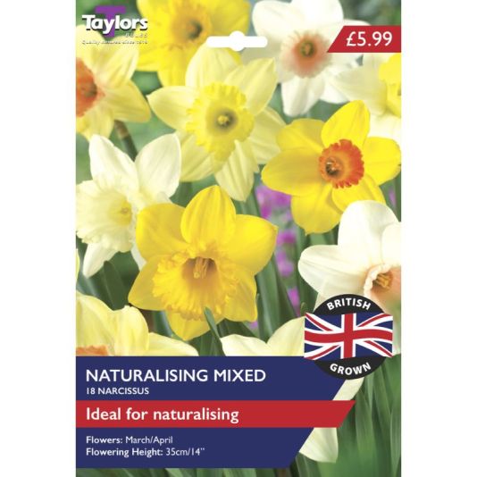 Narcissus 'Naturalising Mix'