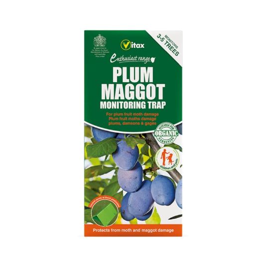 Plum Maggot Monitoring Trap