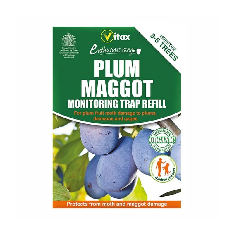 Plum Maggot Monitoring Trap Refill