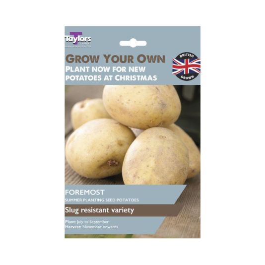 Seed Potato 'Foremost'