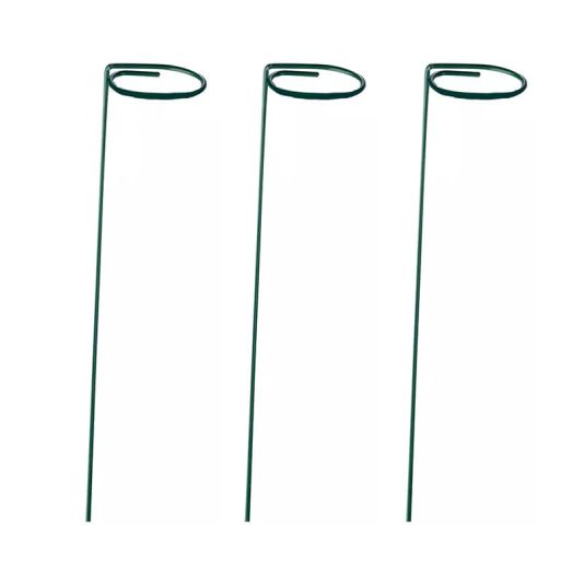 Single Stem Support 3 Pack - 60cm