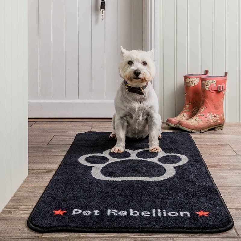 Pet Rebellion, Stop Muddy Paws Biscuit