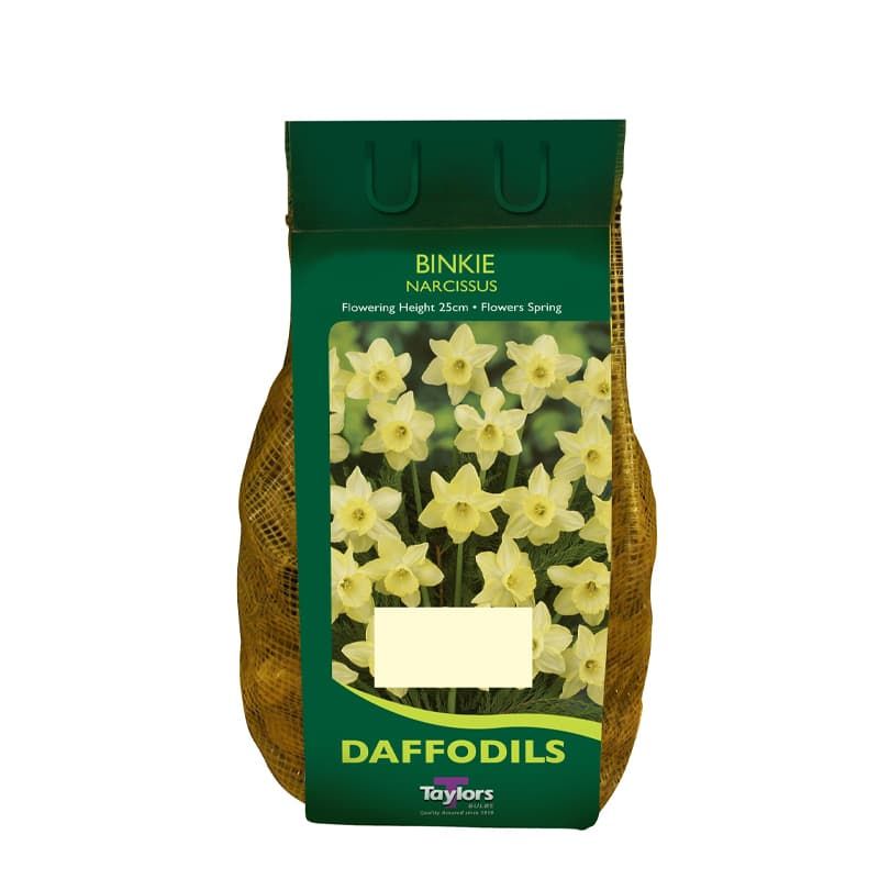 Narcissus 'Binkie' Carry Pack