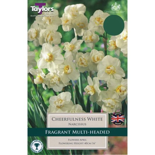 Narcissus 'Cheerfulness'