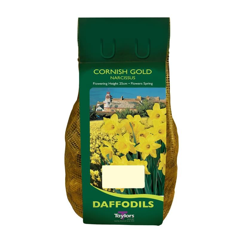 Narcissus 'Cornish Gold' Carry Pack