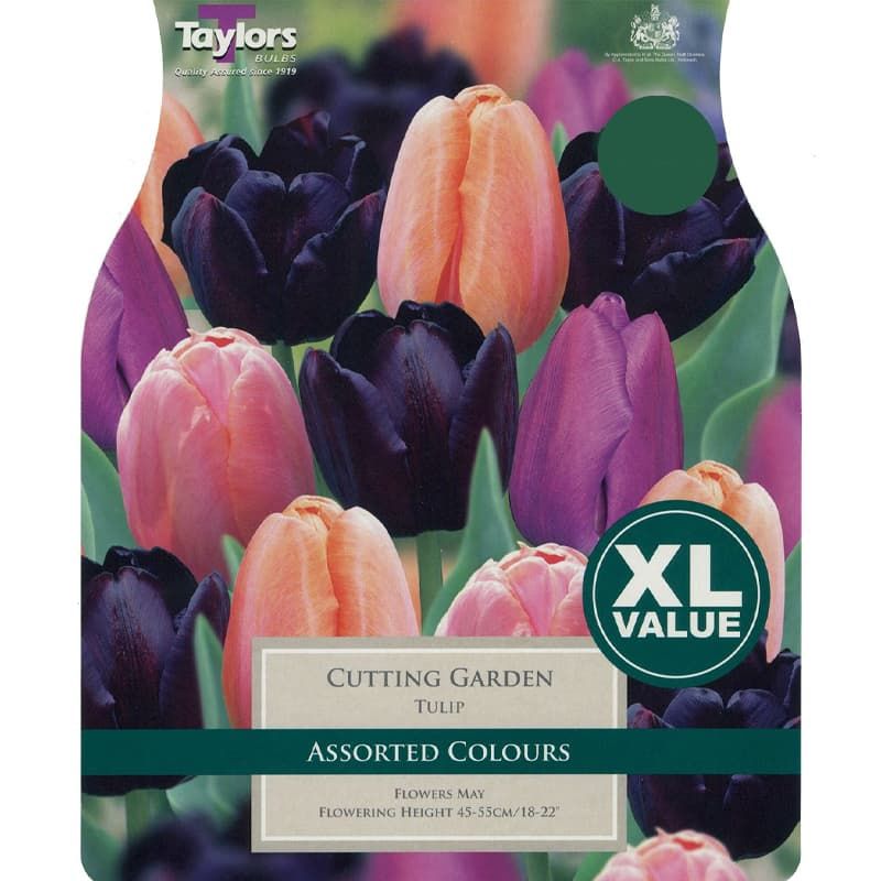 Tulip 'Cutting Garden Mix'