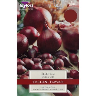 Onion 'Electric'