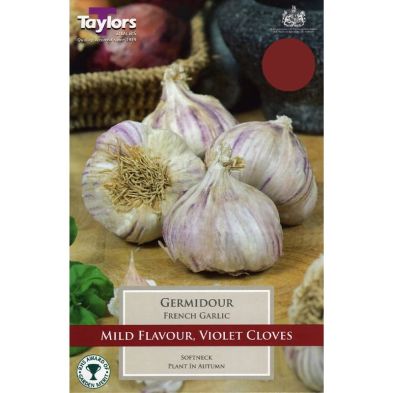 Garlic 'Germidour' French