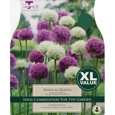 Allium 'Kings & Queens Mix'