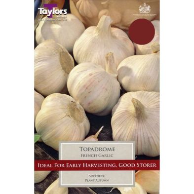 Garlic 'Topadrome' French