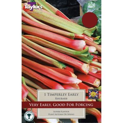 Rhubarb 'Timperley Early'