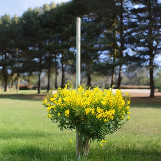 Tree Pole - 1.8m