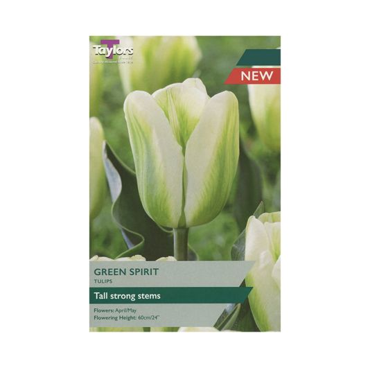 Tulip 'Green Spirit'