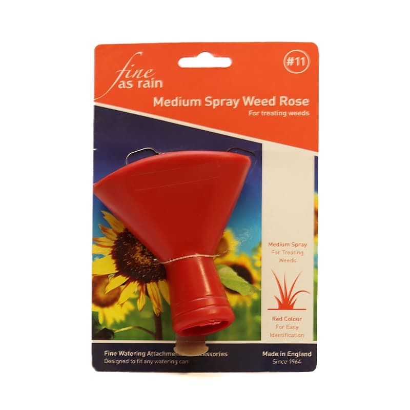 Weedspray Rose - Medium Spray