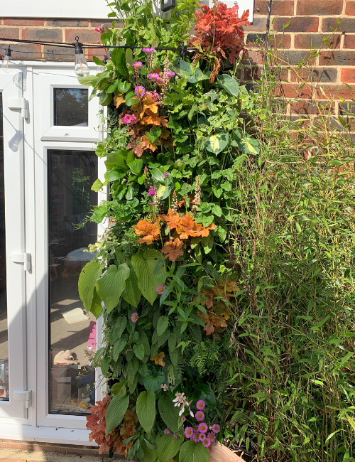 The living wall in bloom