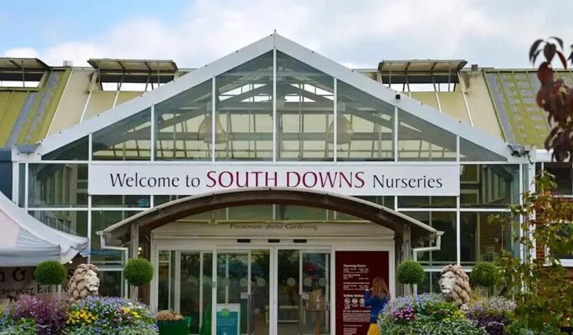 South Downs Nurseries Sussex Plant Shop