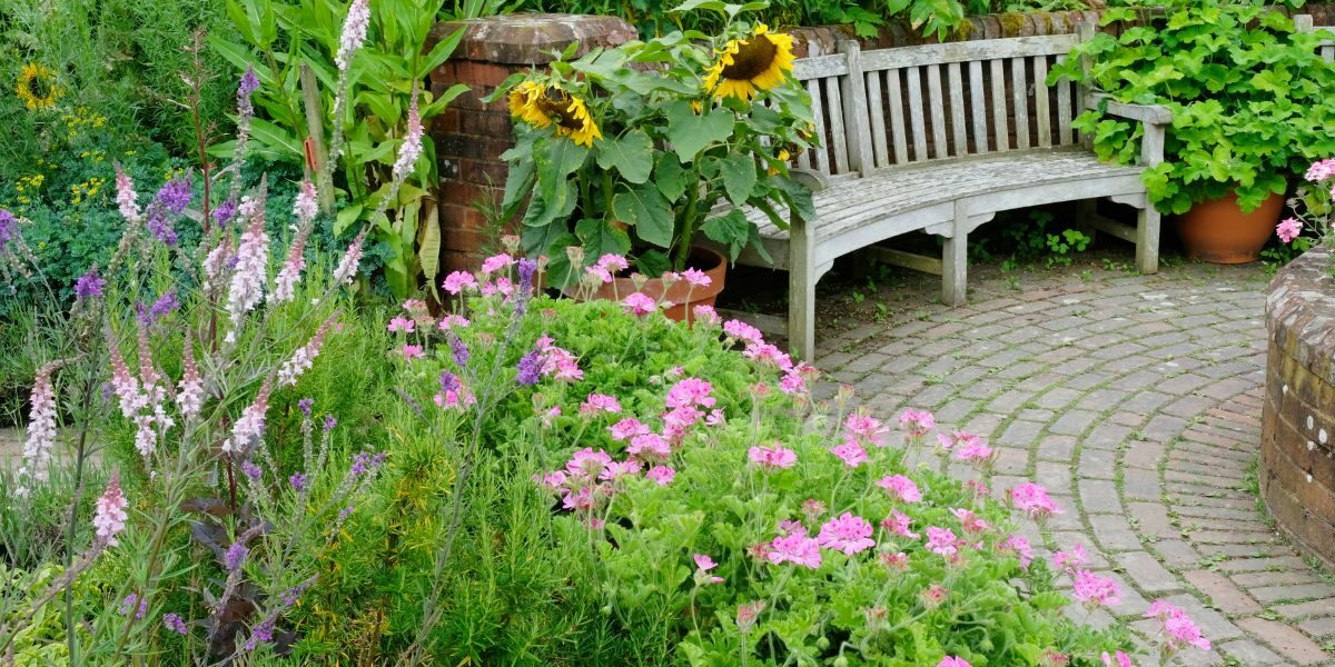 Summer Garden with Bench