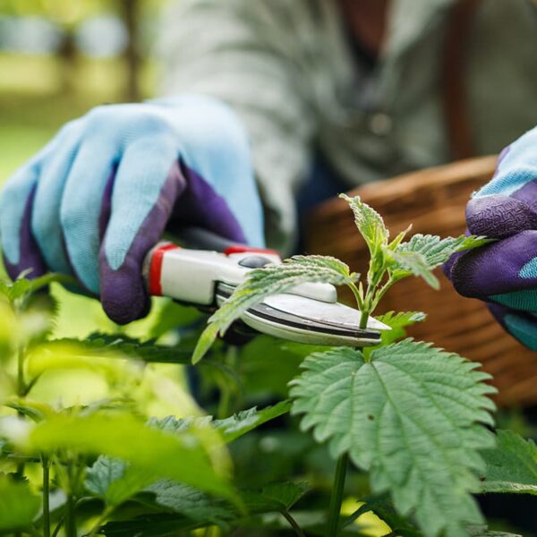 Gardening Gloves