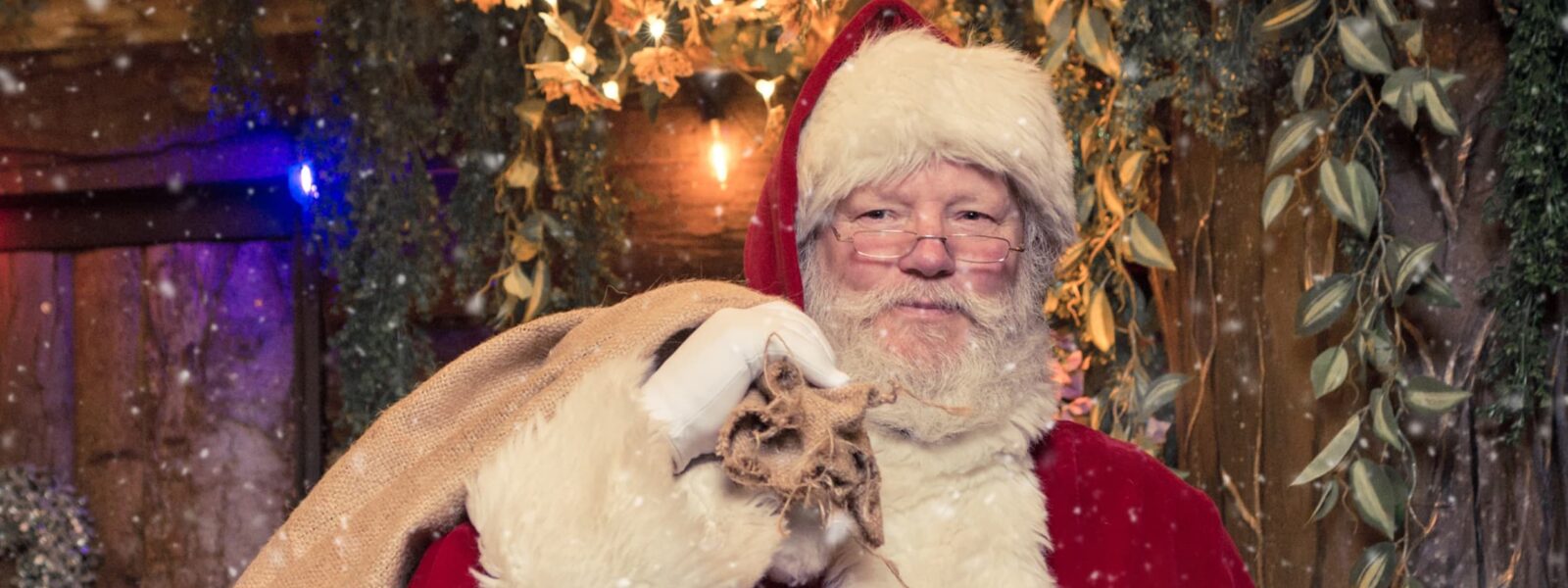 Santa's Grotto at Tates of Sussex Garden Centres