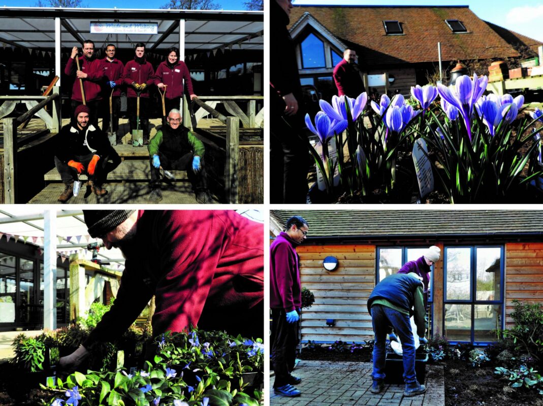 Heritage Centre Gardens to be re-planted - Tates of Sussex